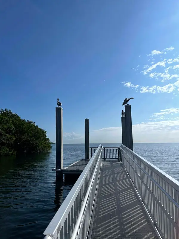 Palmetto Bay
